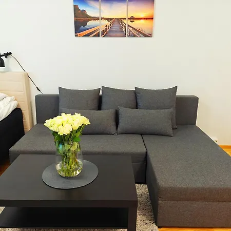 Center 1r With Perfect View, Parking Apartament